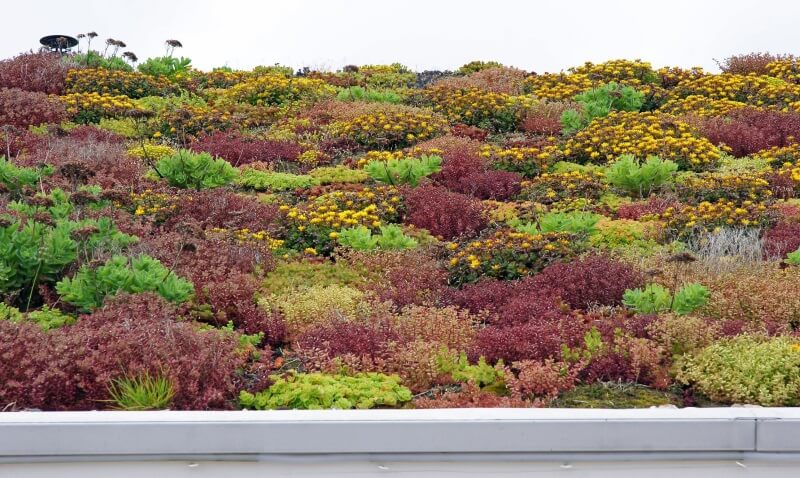 Roof terrace photo 2