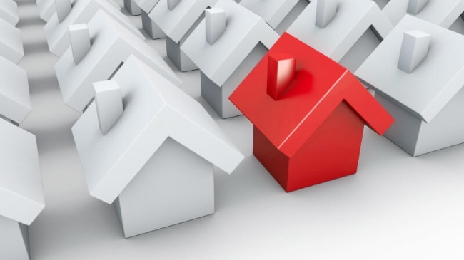 Border development: this is what needs to be taken into account