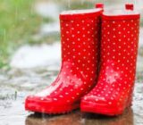 Integrate the use of rainwater in new buildings